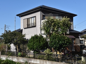 2020 0304 Nsama shisui go003.JPG