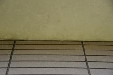 2020 0304 Nsama shisui mae006.JPG