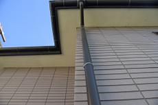 2020 0304 Nsama shisui mae007.JPG