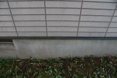 2020 0304 Nsama shisui mae008.JPG