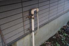 2020 0304 Nsama shisui mae013.JPG