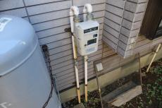 2020 0304 Nsama shisui mae014.JPG