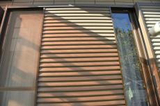 2020 0304 Nsama shisui mae016.JPG