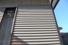 2020 0304 Nsama shisui mae017.JPG