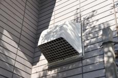 2020 0304 Nsama shisui mae025.JPG