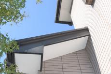 2020 0304 Nsama shisui mae026.JPG