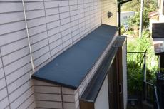 2020 0304 Nsama shisui mae031.JPG