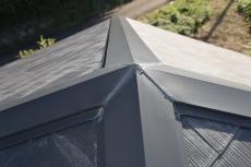 2020 0304 Nsama shisui mae032.JPG