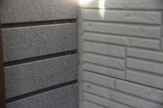 2020 0304 Nsama shisui mae037.JPG