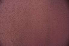 2020 0305 Tsama mae009.JPG