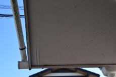 2020 0305 Tsama mae013.JPG