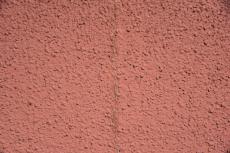 2020 0305 Tsama mae015.JPG