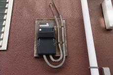 2020 0305 Tsama mae028.JPG