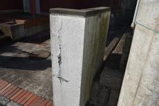 2020 0305 Tsama mae033.JPG