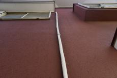 2020 0305 Tsama mae039.JPG