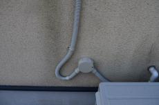 2020 0310 Nsama mae013.JPG