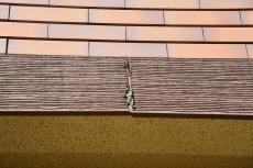 2020 0310 Nsama mae019.JPG