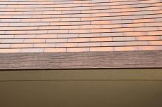 2020 0310 Nsama mae020.JPG