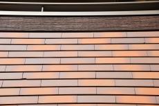 2020 0310 Nsama mae022.JPG