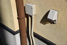 2020 0310 Nsama mae027.JPG