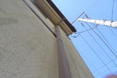 2020 0310 Nsama mae037.JPG