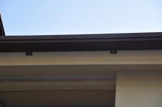 2020 0310 Nsama mae041.JPG