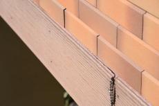 2020 0310 Nsama mae042.JPG