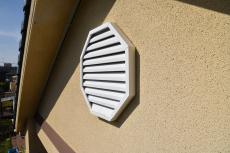 2020 0310 Nsama mae044.JPG