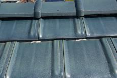 2020 0310 Nsama mae054.JPG