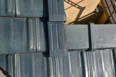 2020 0310 Nsama mae055.JPG