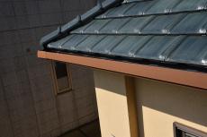 2020 0310 Nsama mae056.JPG