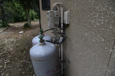 2020 0310 Ssama mae013.JPG