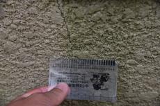 2020 0310 Ssama mae014.JPG