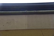 2020 0310 Ssama mae015.JPG