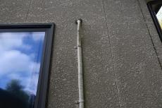 2020 0310 Ssama mae016.JPG