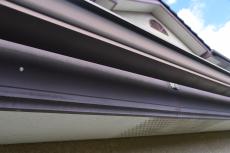 2020 0310 Ssama mae022.JPG