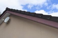 2020 0310 Ssama mae025.JPG