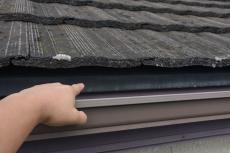 2020 0310 Ssama mae028.JPG