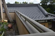 2020 0310 Ssama mae030.JPG