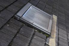 2020 0310 Ssama mae033.JPG