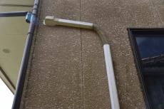 2020 0310 Ssama mae034.JPG