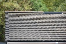 2020 0310 Ssama mae038.JPG