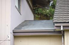 2020 0310 Ssama mae040.JPG