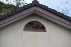 2020 0310 Ssama mae041.JPG