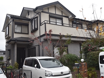 2020 0317 Tsama go003.JPG