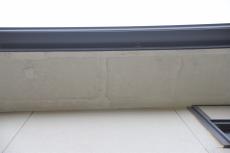 2020 0317 Tsama mae011.JPG