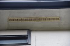 2020 0317 Tsama mae012.JPG