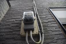 2020 0317 Tsama mae016.JPG