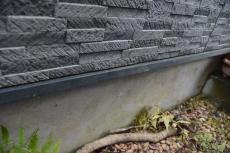 2020 0317 Tsama mae019.JPG