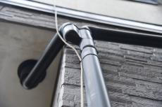 2020 0317 Tsama mae021.JPG